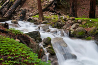 Spring Melt, Limekiln State Park, California