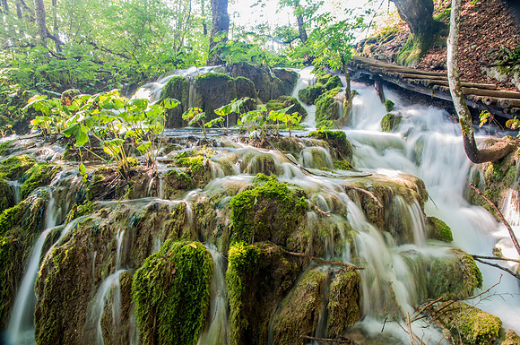 Moss and Fern Waterfall within Plitvicka Jezera National Park, Croatia