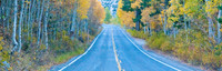 Aspen Highway, Fall Foliage, Eastern Sierras, California