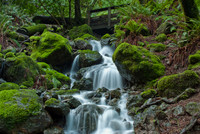 Cataract Falls, Mount Tamalpais State Park, California