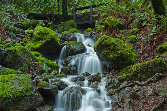 Cataract Falls, Mount Tamalpais State Park, California