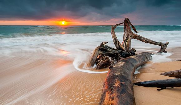 Driftwoods Ashore, Lydgate Beach, Island of Kauai, Hawaii